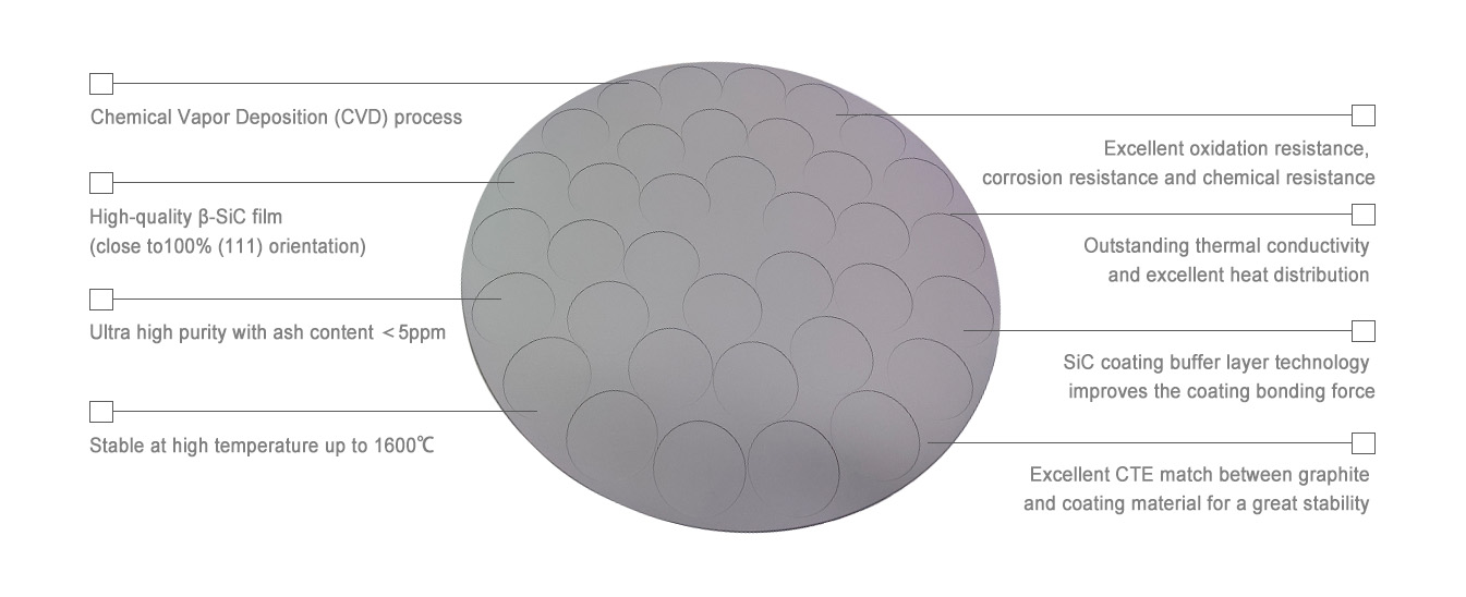 Silicon Carbide Coating melemo e 'maloa e ikhethang